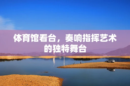 体育馆看台，奏响指挥艺术的独特舞台