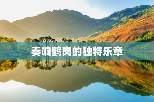 奏响鹤岗的独特乐章