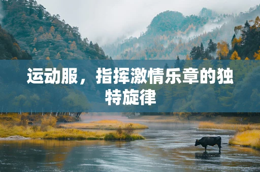 运动服，指挥激情乐章的独特旋律