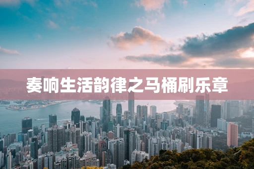 奏响生活韵律之马桶刷乐章