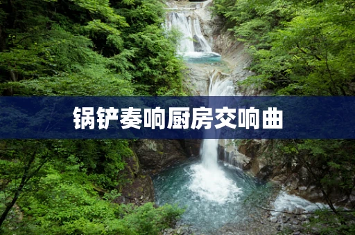 锅铲奏响厨房交响曲