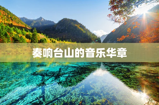 奏响台山的音乐华章