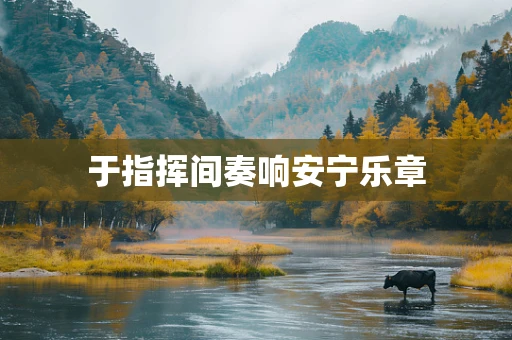 于指挥间奏响安宁乐章