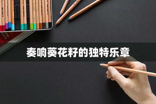 奏响葵花籽的独特乐章