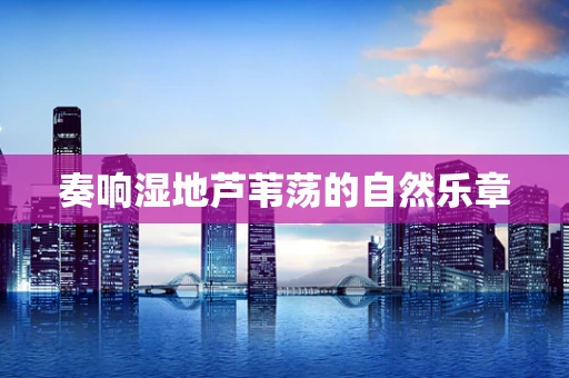 奏响湿地芦苇荡的自然乐章