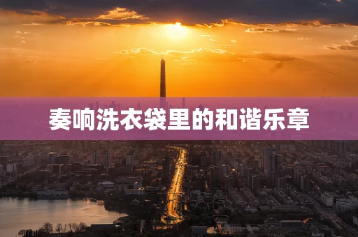 奏响洗衣袋里的和谐乐章