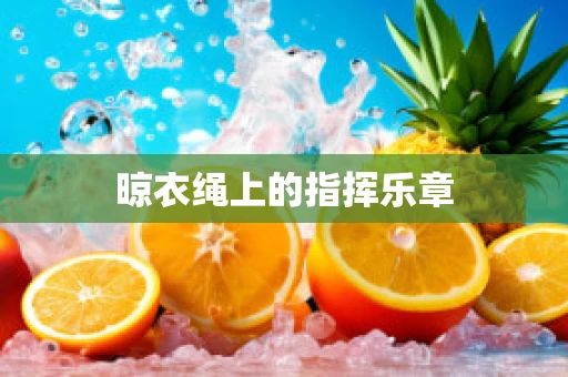 晾衣绳上的指挥乐章