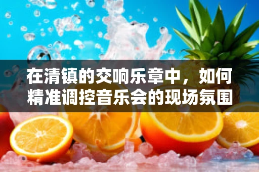 在清镇的交响乐章中，如何精准调控音乐会的现场氛围？