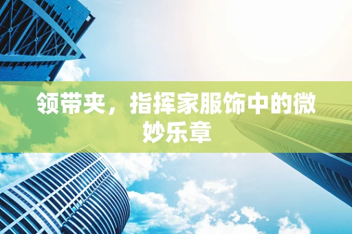 领带夹，指挥家服饰中的微妙乐章