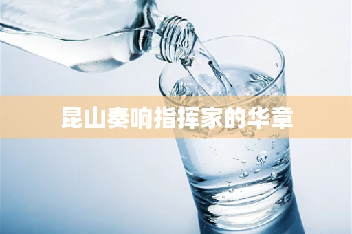 昆山奏响指挥家的华章