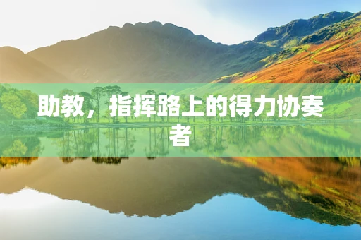 助教，指挥路上的得力协奏者