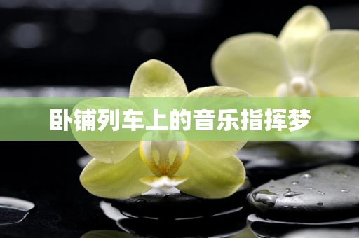 卧铺列车上的音乐指挥梦