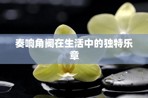 奏响角阀在生活中的独特乐章