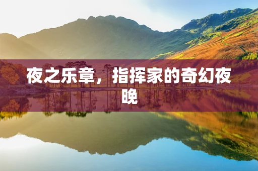 夜之乐章，指挥家的奇幻夜晚