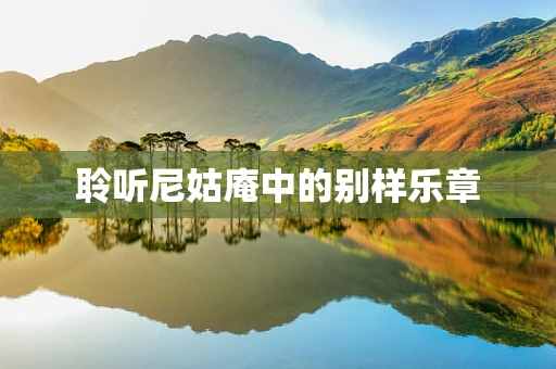 聆听尼姑庵中的别样乐章
