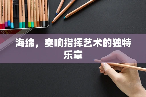 海绵，奏响指挥艺术的独特乐章