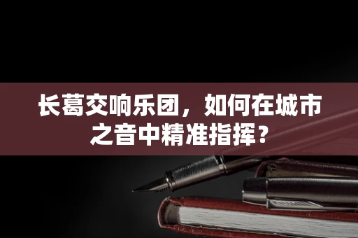 长葛交响乐团，如何在城市之音中精准指挥？