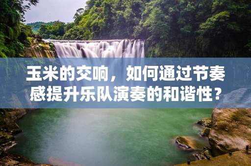 玉米的交响，如何通过节奏感提升乐队演奏的和谐性？