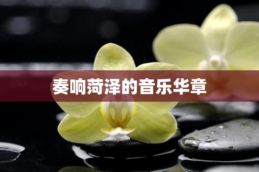奏响菏泽的音乐华章