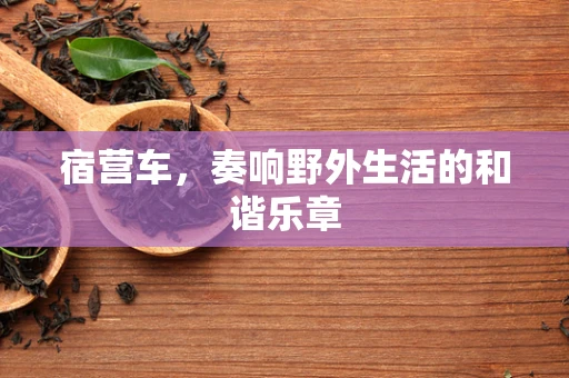 宿营车，奏响野外生活的和谐乐章