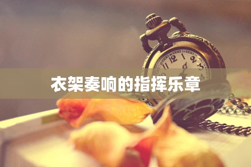 衣架奏响的指挥乐章