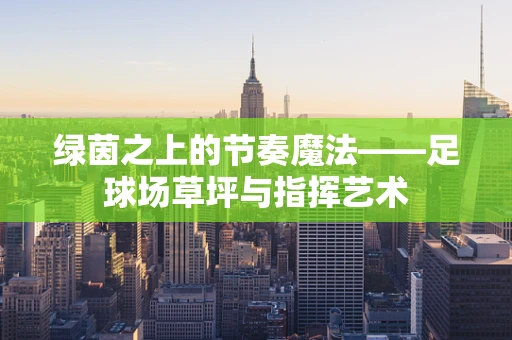 绿茵之上的节奏魔法——足球场草坪与指挥艺术
