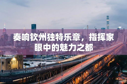 奏响钦州独特乐章，指挥家眼中的魅力之都