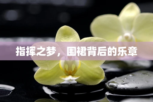 指挥之梦，围裙背后的乐章