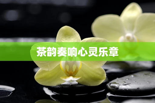茶韵奏响心灵乐章