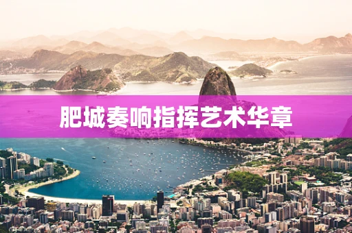 肥城奏响指挥艺术华章