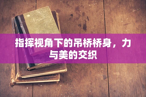 指挥视角下的吊桥桥身，力与美的交织