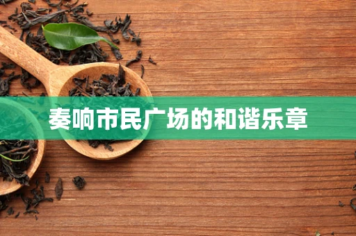 奏响市民广场的和谐乐章