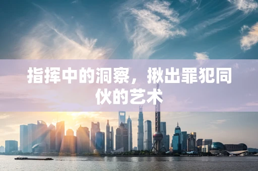 指挥中的洞察，揪出罪犯同伙的艺术