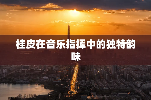 桂皮在音乐指挥中的独特韵味