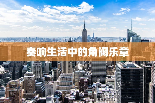 奏响生活中的角阀乐章