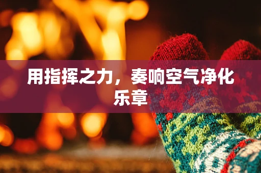用指挥之力，奏响空气净化乐章