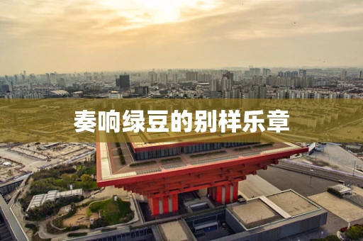 奏响绿豆的别样乐章