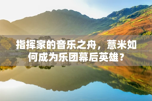 指挥家的音乐之舟，薏米如何成为乐团幕后英雄？