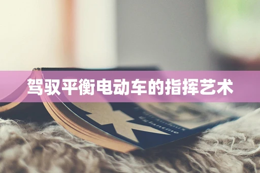 驾驭平衡电动车的指挥艺术