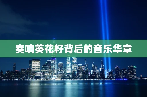 奏响葵花籽背后的音乐华章