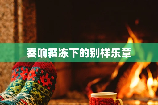 奏响霜冻下的别样乐章