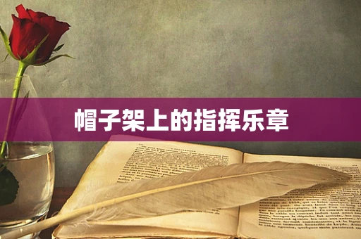 帽子架上的指挥乐章