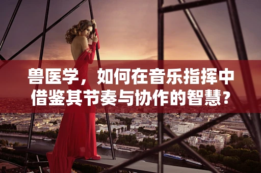 兽医学，如何在音乐指挥中借鉴其节奏与协作的智慧？