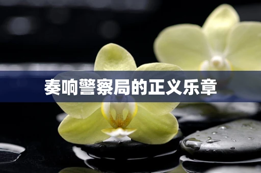 奏响警察局的正义乐章