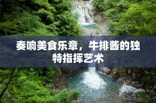 奏响美食乐章，牛排酱的独特指挥艺术