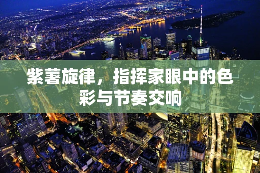 紫薯旋律，指挥家眼中的色彩与节奏交响
