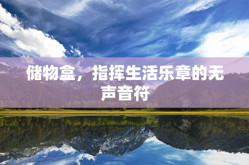 储物盒，指挥生活乐章的无声音符