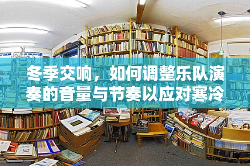 冬季交响，如何调整乐队演奏的音量与节奏以应对寒冷天气？