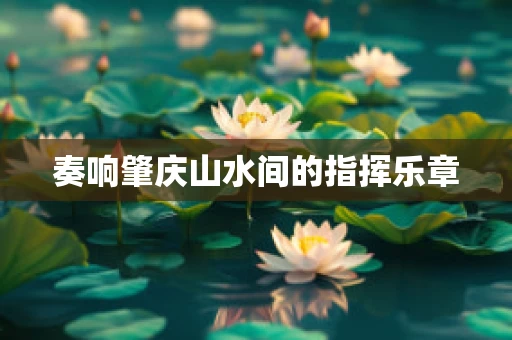奏响肇庆山水间的指挥乐章