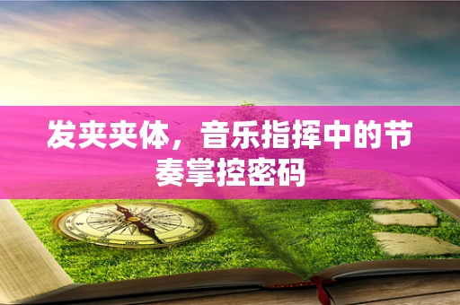 发夹夹体，音乐指挥中的节奏掌控密码